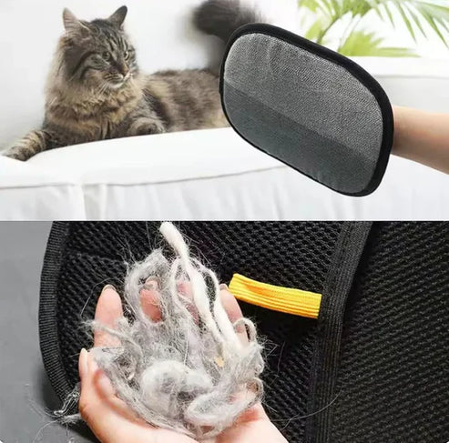 éloura PetClean Pro