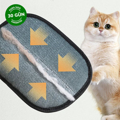 éloura PetClean Pro